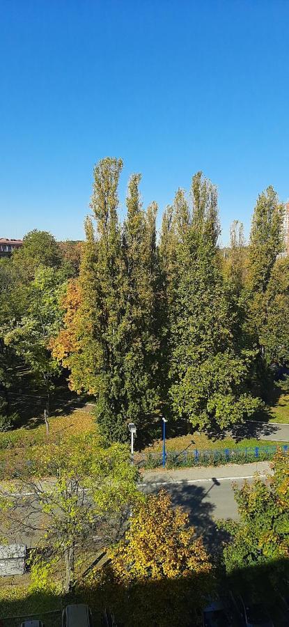 Apartment Student City, Wifi 300Mbs Belgrado Esterno foto